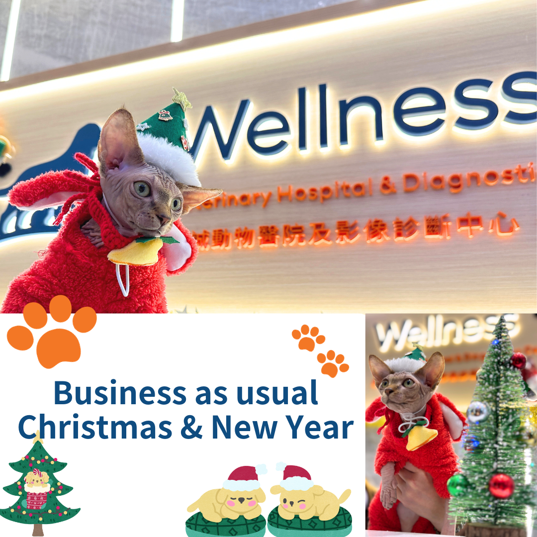 Xmas_newyear_BusinessAsUsual_WellnessVet_website_EN_20231221