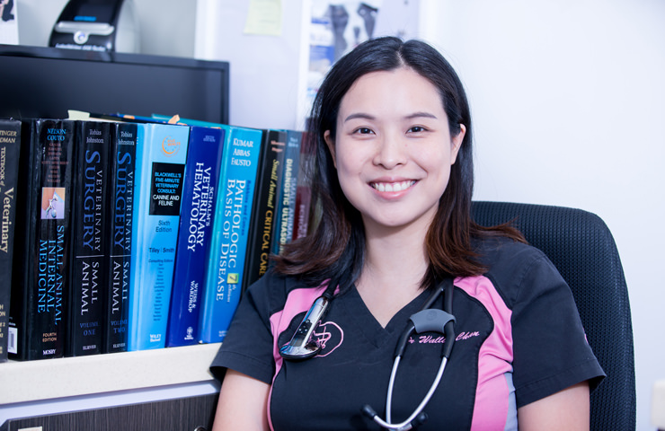 Dr Wallis Chan